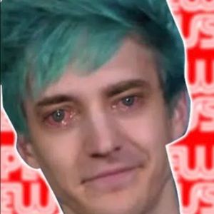 Meet your Posher, Hector